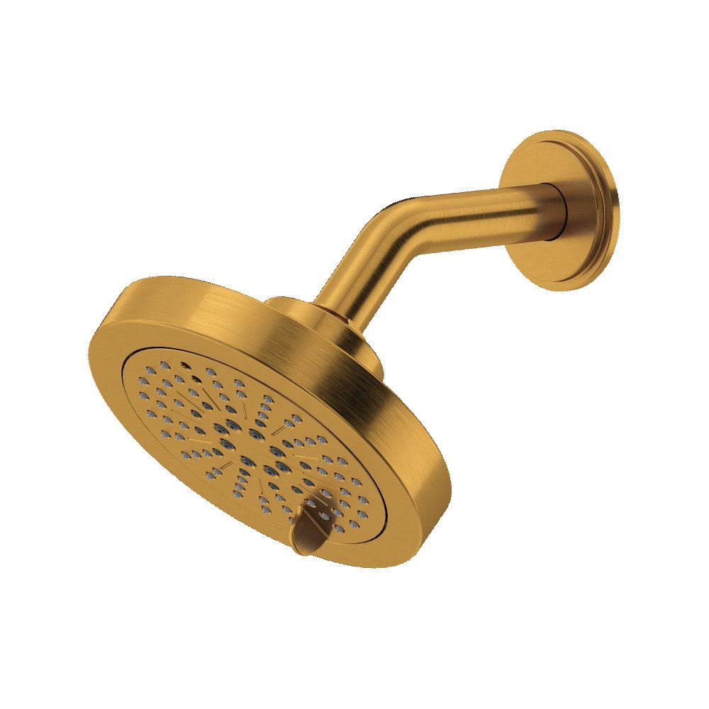 Riobel 386-WS 5" 6-Function Showerhead with Arm