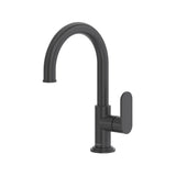 Riobel Arca AA701 Filter Kitchen Faucet